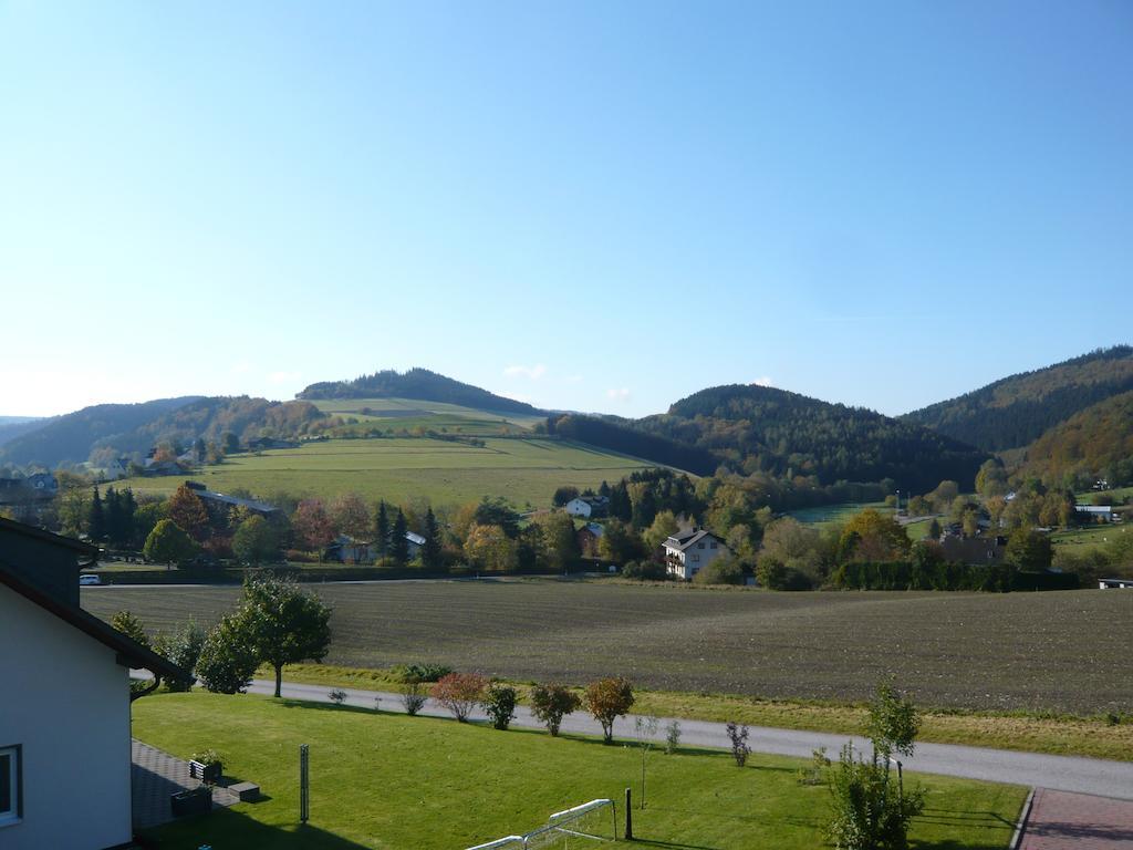 Haus Talblick Villa Willingen  Bagian luar foto